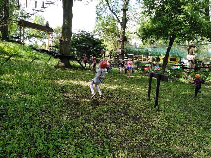 PARK LINOWY (54)